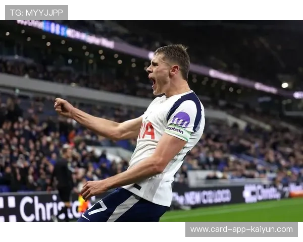 托特纳姆热刺直塞加速撕裂两层区域结构